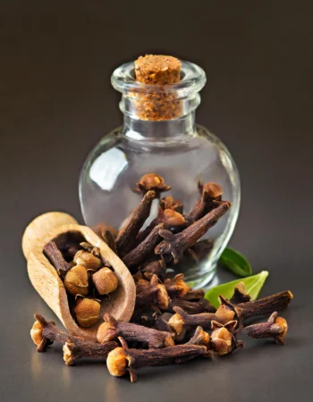 Clove Bud - Image 4