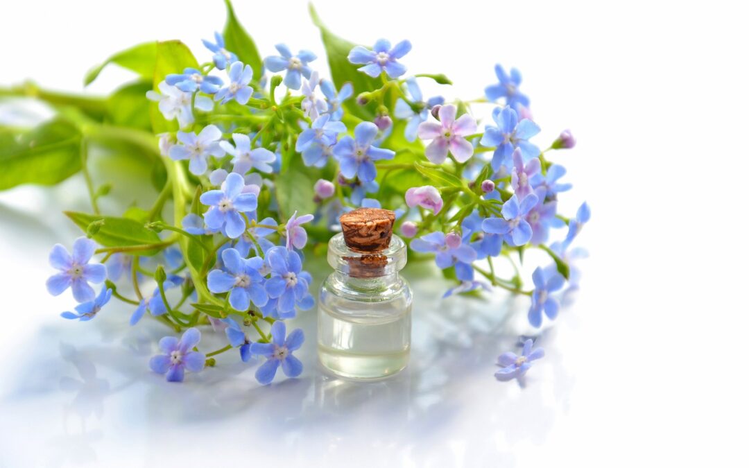 Discovering Aromatherapy: A Gentle Introduction to Natural Wellness