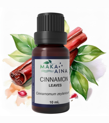 Imagecinnamon