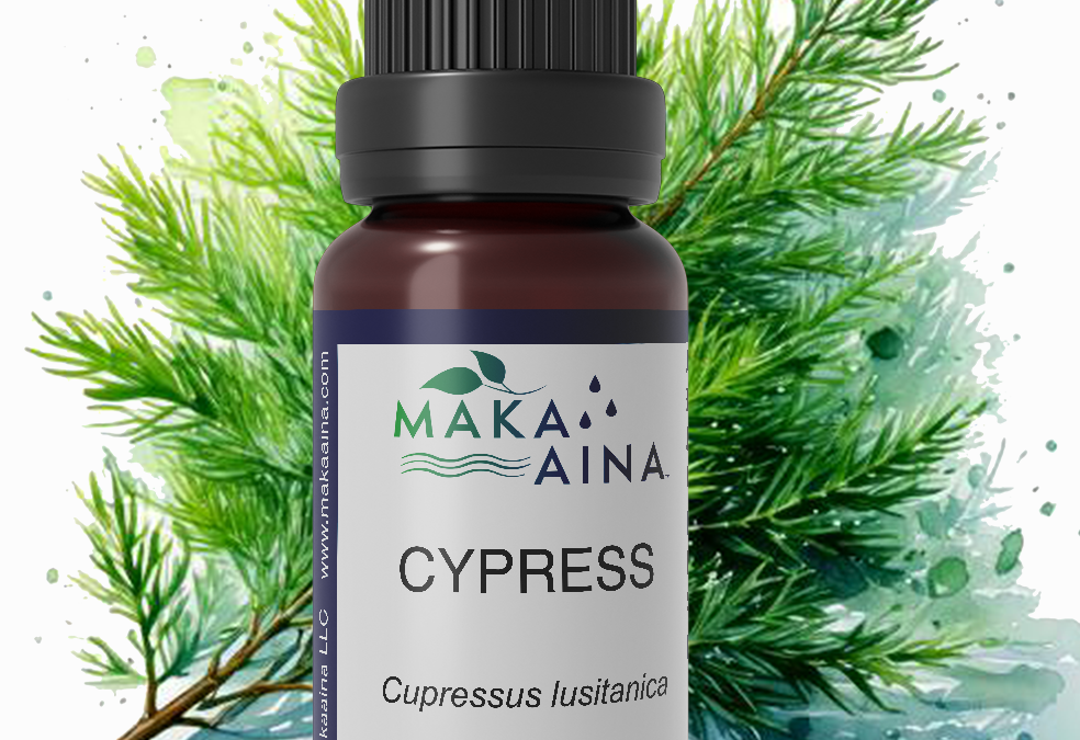 Cypress