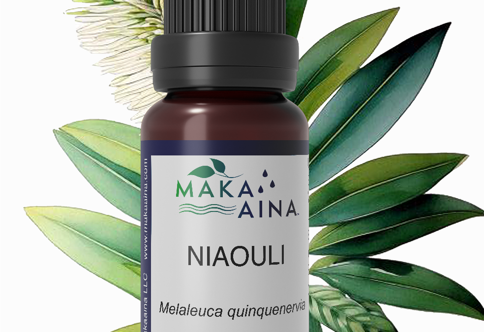 Niaouli